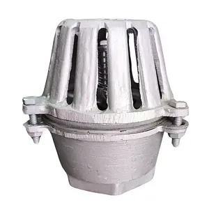 Valvula De Pie 6" Flanchada